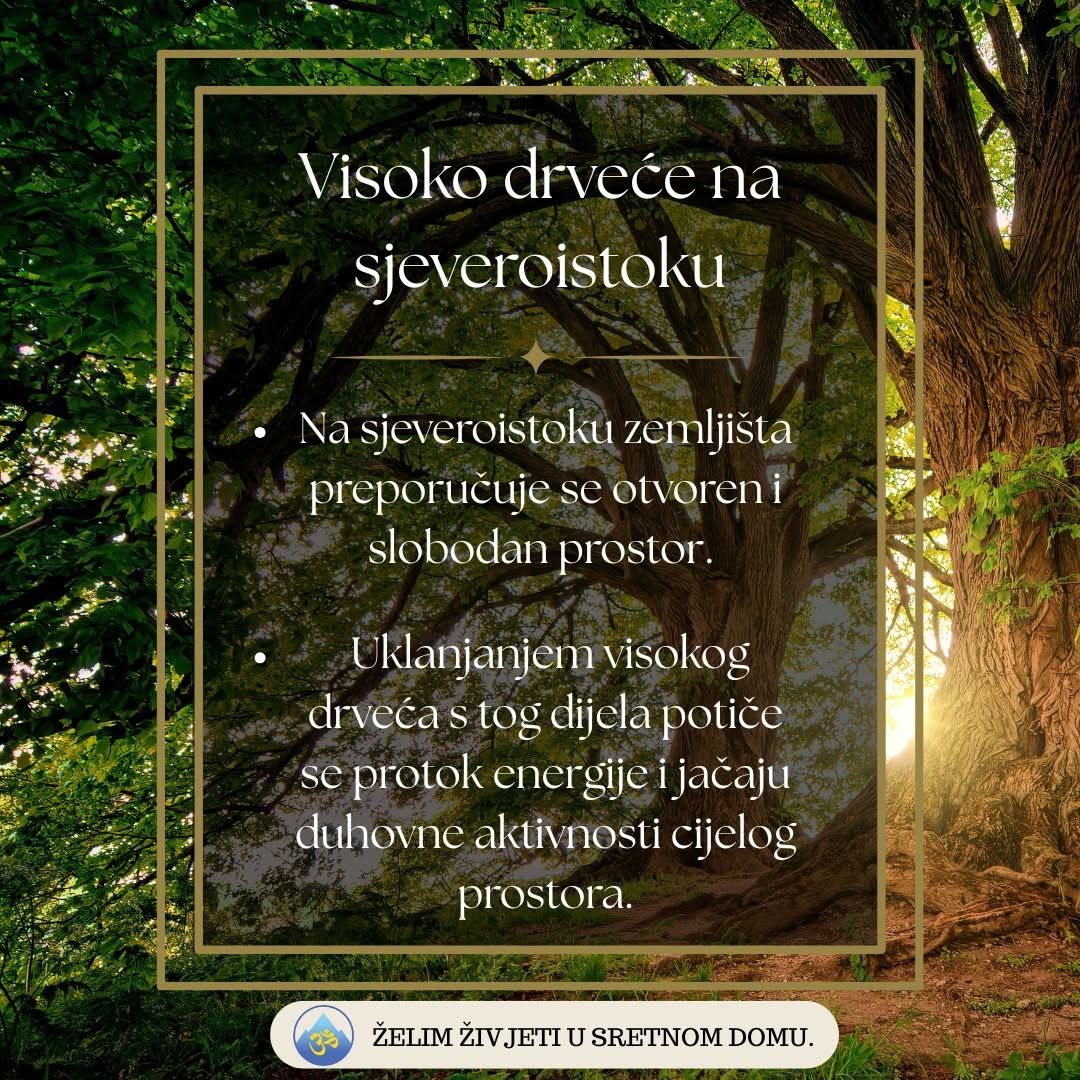 Visoko drveće na sjeveroistoku