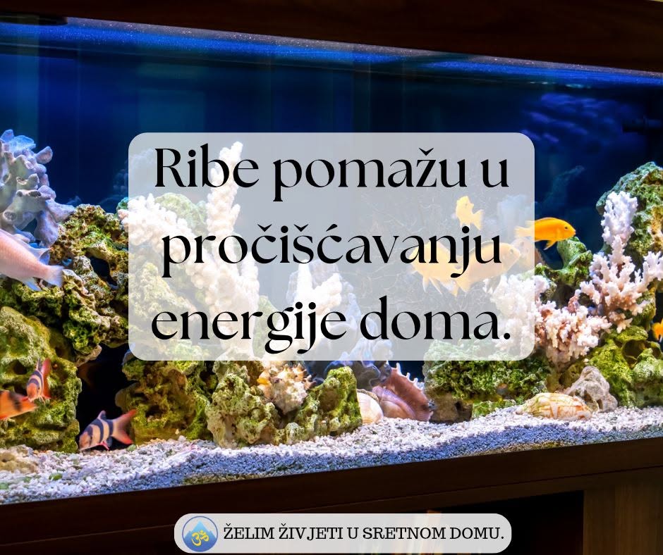 Ribe pomažu u pročišćavanju energije doma
